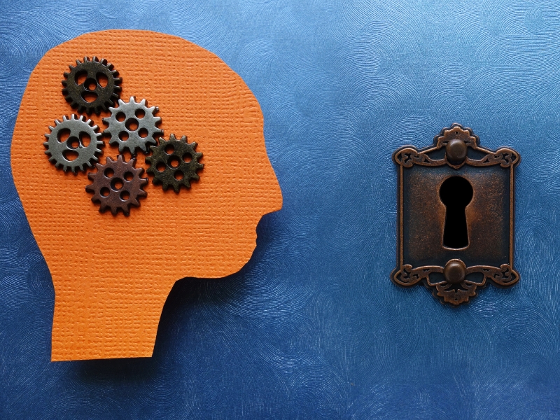 Kritisches Denken in der IT Vorschau